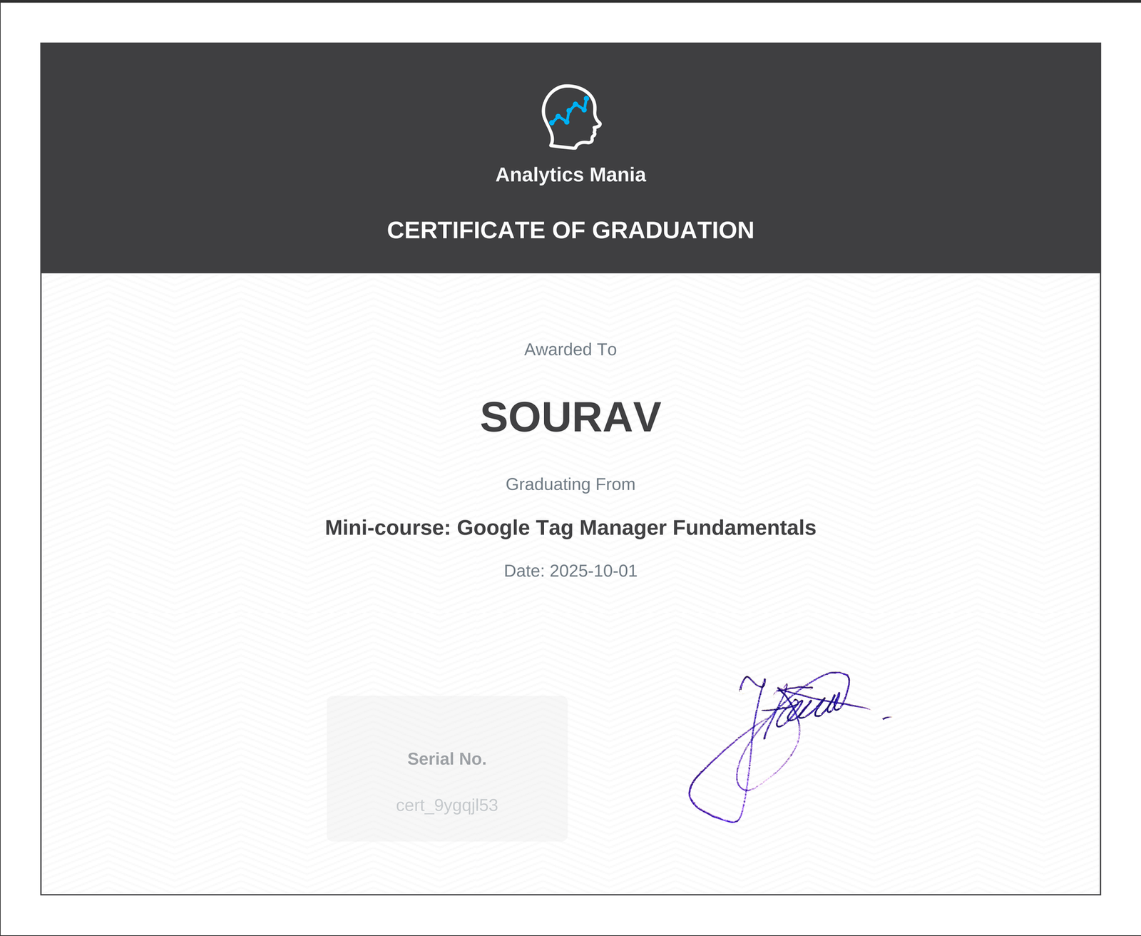 Analytics Mania, Google Tag Manager Fundamentals certificate